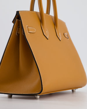 Hermès Birkin 25 Sellier Bag in Toffee Epsom Leather with Palladium Hardware