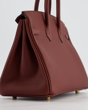 *HOT* Hermès Birkin 25 Retourne Bag in Rouge H Togo Leather with Gold Hardware