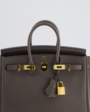 *FIRE PRICE* Hermès Birkin 25 Retourne Bag in Gris Etain Togo Leather with Gold Hardware