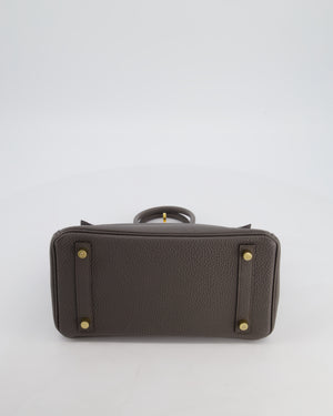 *FIRE PRICE* Hermès Birkin 25 Retourne Bag in Gris Etain Togo Leather with Gold Hardware