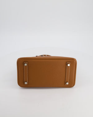 *HOT* Hermès Birkin 25 Retourne Bag in Gold Togo Leather with Palladium Hardware