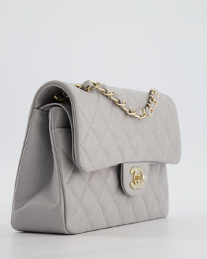 Chanel Dove Grey Small Classic Double Flap Bag in Caviar Leather with Champagne Gold Hardware