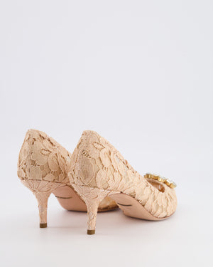 Dolce & Gabbana Blush Pink Bellucci Taormina Lace Heeled Pumps with Crystal Buckle Size EU 38.5