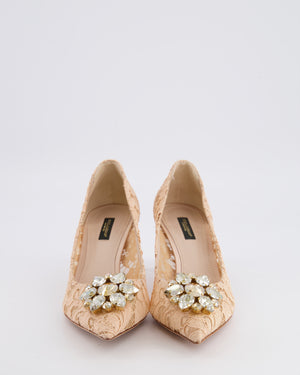 Dolce & Gabbana Blush Pink Bellucci Taormina Lace Heeled Pumps with Crystal Buckle Size EU 38.5