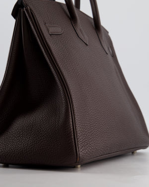 Hermès Birkin 35 Bag in Ebene Togo Leather with Palladium Hardware