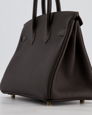 *HOT COLOUR* Hermès Birkin 25 Retourne Bag in Bai Brun Togo Leather with Permabrass Hardware