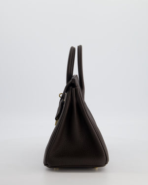 *HOT COLOUR* Hermès Birkin 25 Retourne Bag in Bai Brun Togo Leather with Permabrass Hardware
