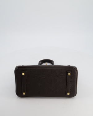 *HOT COLOUR* Hermès Birkin 25 Retourne Bag in Bai Brun Togo Leather with Permabrass Hardware