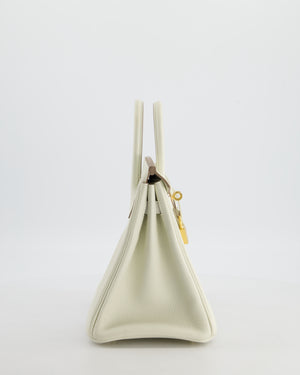 *RARE* Hermès Birkin 25 Retourne Bag in Mushroom Togo Leather with Gold Hardware