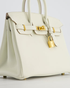 *RARE* Hermès Birkin 25 Retourne Bag in Mushroom Togo Leather with Gold Hardware