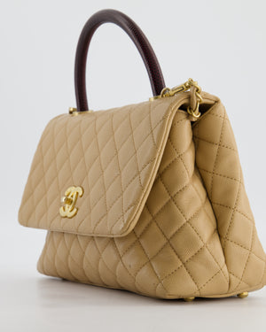 Chanel Medium Coco Top Handle Bag in Chai Beige Caviar Leather with Brushed Gold Hardware