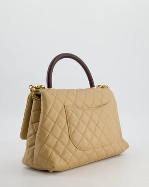 Chanel Medium Coco Top Handle Bag in Chai Beige Caviar Leather with Brushed Gold Hardware