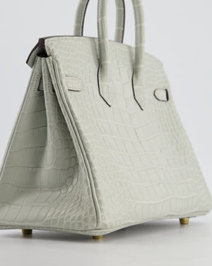*HOLY GRAIL* Hermès Birkin Bag 25cm Gris Neve Matte Alligator Mississippiensis Leather with Gold Hardware