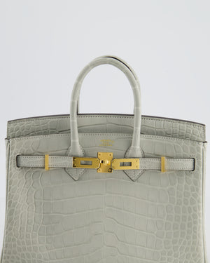 *HOLY GRAIL* Hermès Birkin Bag 25cm Gris Neve Matte Alligator Mississippiensis Leather with Gold Hardware