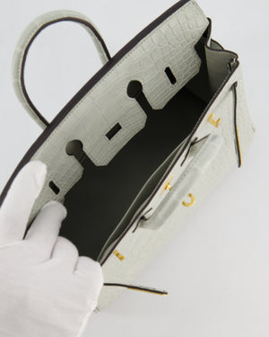 *HOLY GRAIL* Hermès Birkin Bag 25cm Gris Neve Matte Alligator Mississippiensis Leather with Gold Hardware