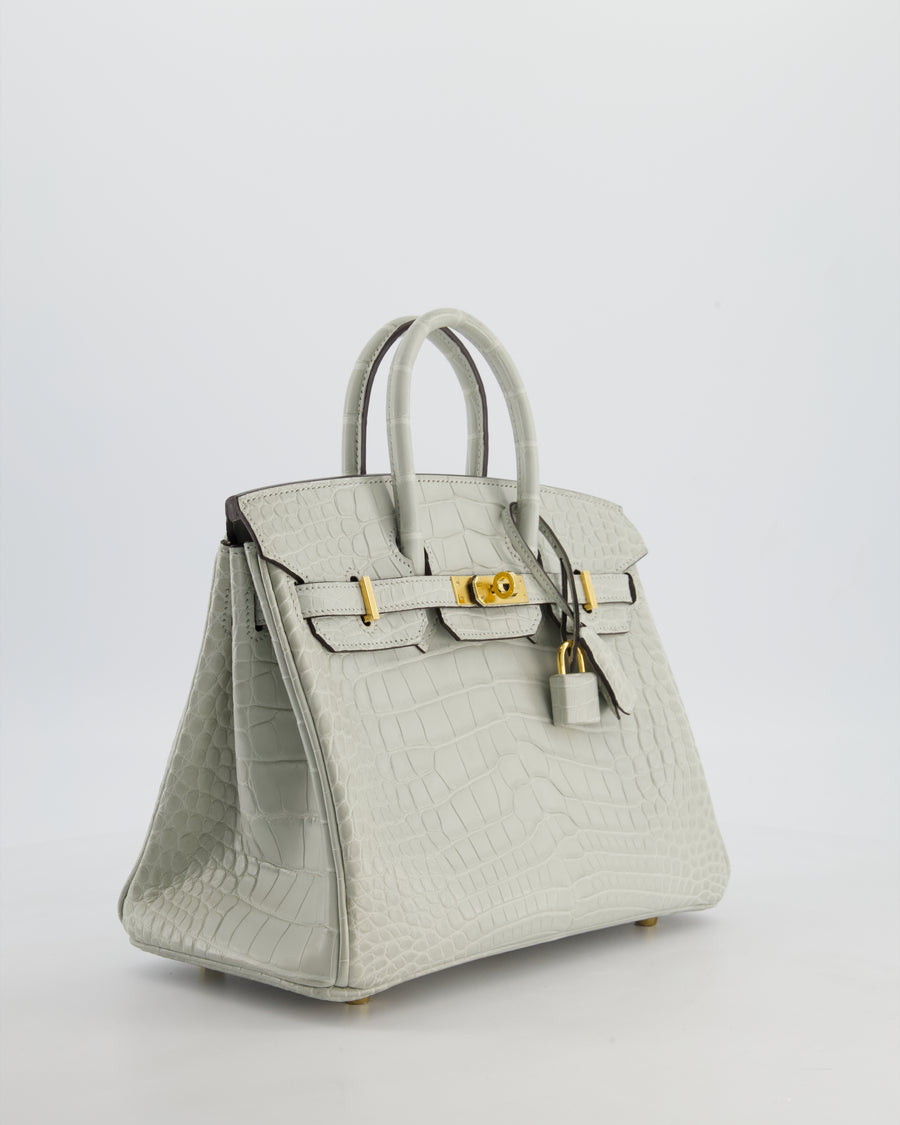 *HOLY GRAIL* Hermès Birkin Bag 25cm Gris Neve Matte Alligator Mississippiensis Leather with Gold Hardware