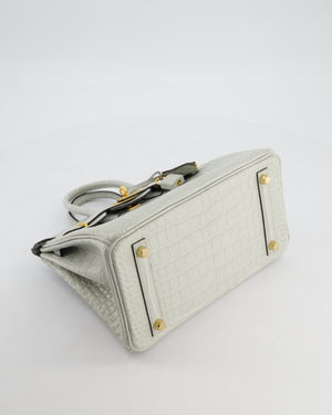 *HOLY GRAIL* Hermès Birkin Bag 25cm Gris Neve Matte Alligator Mississippiensis Leather with Gold Hardware