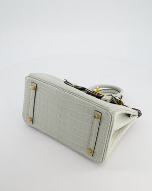 *HOLY GRAIL* Hermès Birkin Bag 25cm Gris Neve Matte Alligator Mississippiensis Leather with Gold Hardware