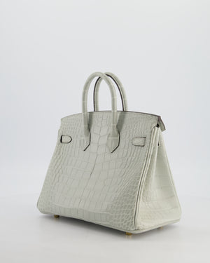 *HOLY GRAIL* Hermès Birkin Bag 25cm Gris Neve Matte Alligator Mississippiensis Leather with Gold Hardware