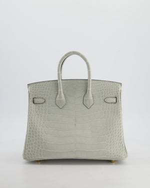 *HOLY GRAIL* Hermès Birkin Bag 25cm Gris Neve Matte Alligator Mississippiensis Leather with Gold Hardware