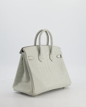 *HOLY GRAIL* Hermès Birkin Bag 25cm Gris Neve Matte Alligator Mississippiensis Leather with Gold Hardware