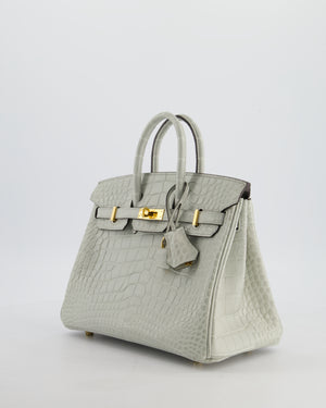 *HOLY GRAIL* Hermès Birkin Bag 25cm Gris Neve Matte Alligator Mississippiensis Leather with Gold Hardware
