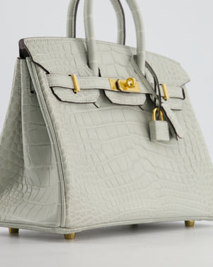 *HOLY GRAIL* Hermès Birkin Bag 25cm Gris Neve Matte Alligator Mississippiensis Leather with Gold Hardware