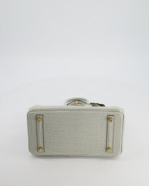 *HOLY GRAIL* Hermès Birkin Bag 25cm Gris Neve Matte Alligator Mississippiensis Leather with Gold Hardware
