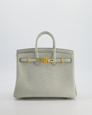 *HOLY GRAIL* Hermès Birkin Bag 25cm Gris Neve Matte Alligator Mississippiensis Leather with Gold Hardware