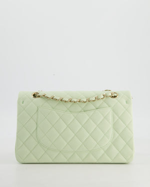 *RARE* Chanel Pastel Mint Green Medium Classic Double Flap Bag in Caviar Leather with Champagne Gold Hardware&nbsp;
