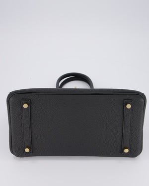 *RARE* Hermès Birkin 30 Bag in Plomb Togo Leather with Permabrass Hardware