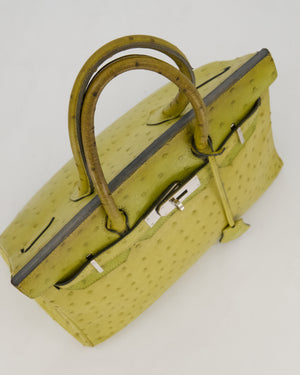 Hermès Birkin 30 Retourne Bag in Vert Anís Ostrich Leather with Palladium Hardware