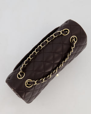 Chanel Brown Small Classic Double Flap Bag in Lambskin Leather with Silver Hardware