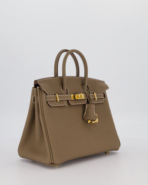 Hermès Birkin 25 Retourne Bag in Etoupe Togo Leather with Gold Hardware