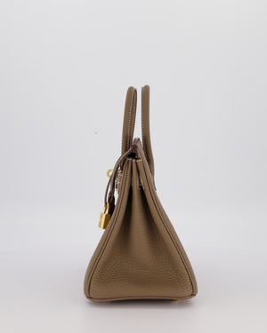 Hermès Birkin 25 Retourne Bag in Etoupe Togo Leather with Gold Hardware