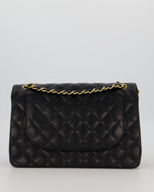 Chanel Black Jumbo Classic Double Flap Bag in Caviar Leather with Gold Hardware