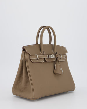 Hermès Birkin 25 Retourne Bag in Etoupe Togo Leather with Palladium Hardware