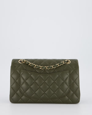Chanel Olive Green Small Classic Double Flap Bag in Lambskin Leather with Champagne Gold Hardware