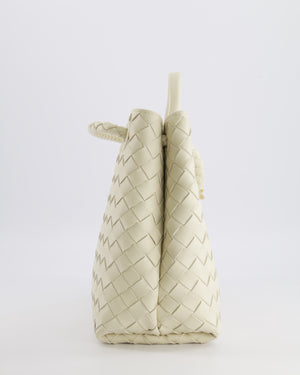 Bottega Veneta Medium Andiamo Bag in Sea Salt Intrecciato Leather with Gold Hardware RRP £4,370