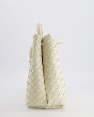 Bottega Veneta Medium Andiamo Bag in Sea Salt Intrecciato Leather with Gold Hardware RRP £4,370