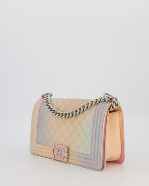 Chanel Pastel Rainbow Medium Boy Bag in Caviar Leather with Silver Hardware