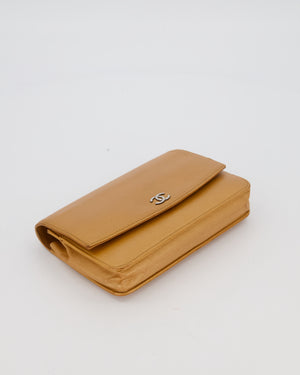 Chanel Gold Wallet on Chain Bag in Sevruga Caviar Leather with Silver Hardware