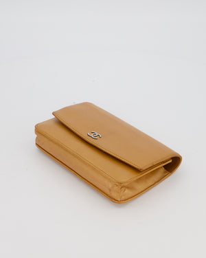 Chanel Gold Wallet on Chain Bag in Sevruga Caviar Leather with Silver Hardware