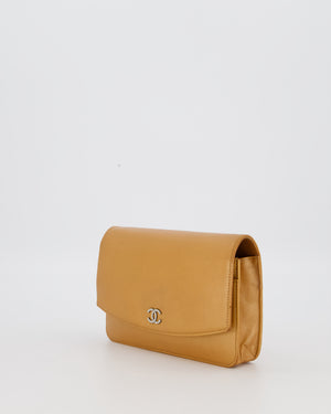 Chanel Gold Wallet on Chain Bag in Sevruga Caviar Leather with Silver Hardware