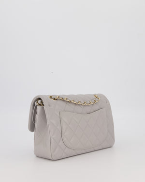 Chanel Light Grey Small Classic Double Flap Bag in Caviar Leather with Champagne Gold Hardware