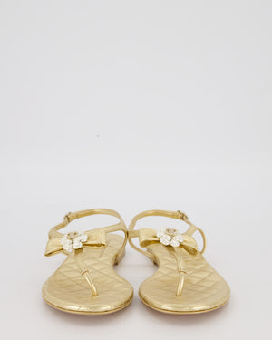 Chanel Gold Quilted Lambskin Flat Thong Sandals with Pearl Camellia and CC Logo Detail Size EU 37.5C