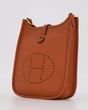 Hermès Mini Evelyne 16 Amazone in Cuivre Clemence Leather with Gold Hardware