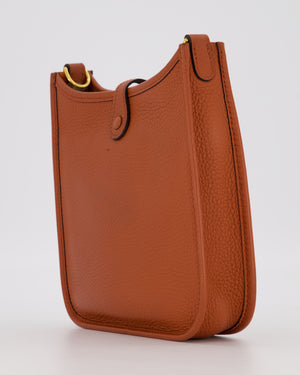 Hermès Mini Evelyne 16 Amazone in Cuivre Clemence Leather with Gold Hardware