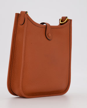 Hermès Mini Evelyne 16 Amazone in Cuivre Clemence Leather with Gold Hardware