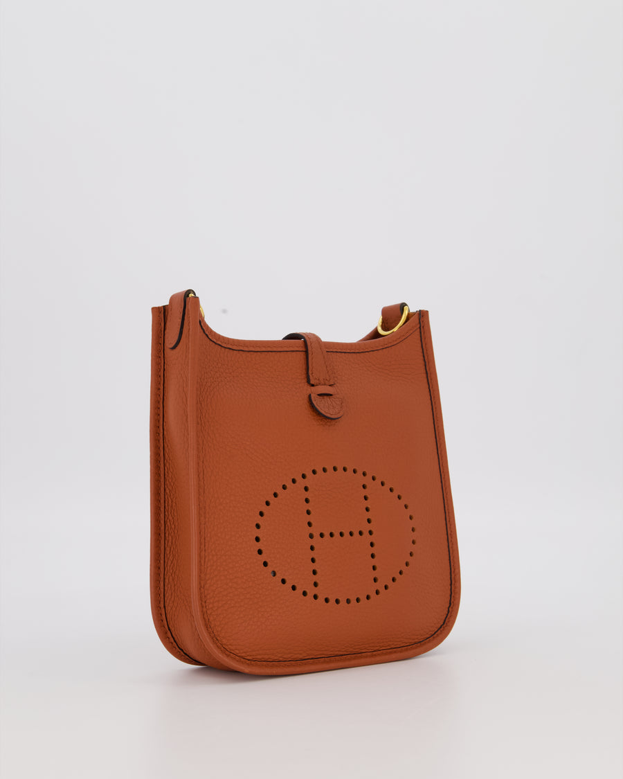 Hermès Mini Evelyne 16 Amazone in Cuivre Clemence Leather with Gold Hardware